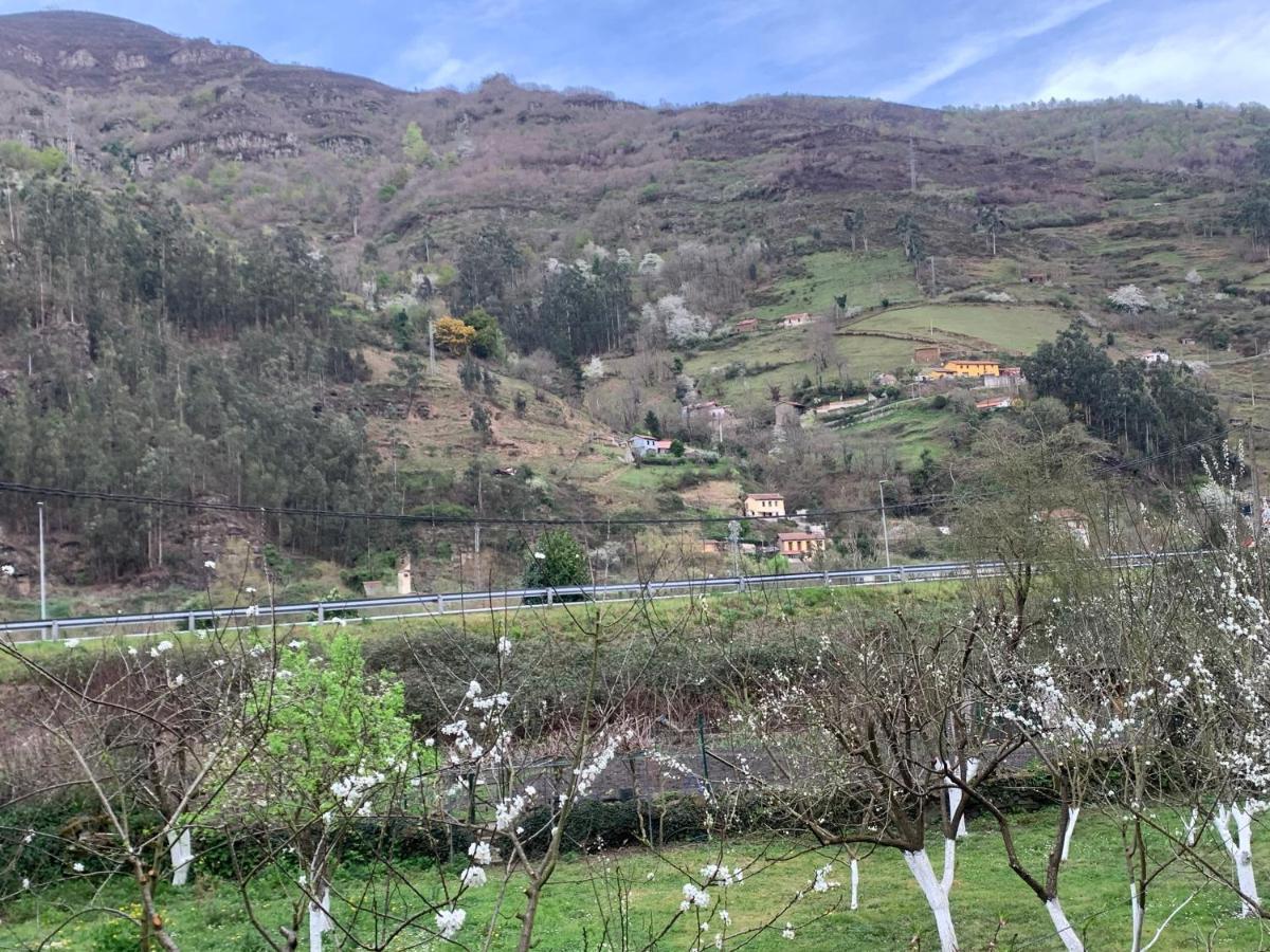 Casa Rural En Santa Cruz-Mieres Bustiello  Zewnętrze zdjęcie