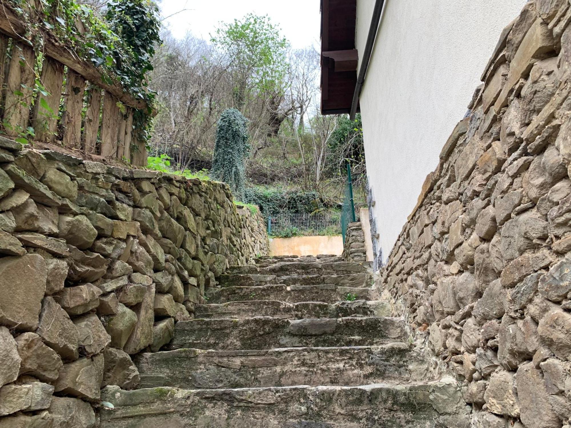 Casa Rural En Santa Cruz-Mieres Bustiello  Zewnętrze zdjęcie